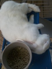 Image081920151901111