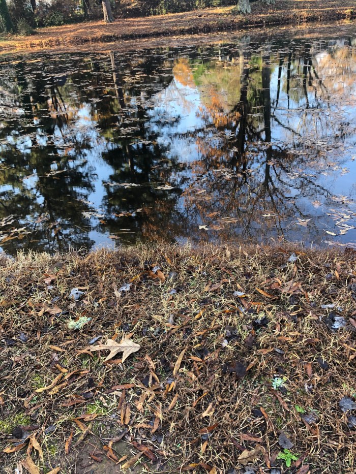 xsgvk5UHRBSloxiNdr88cg