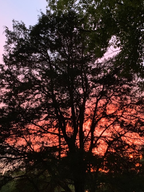 SjnAncywSrG89kc6vO6VuQ