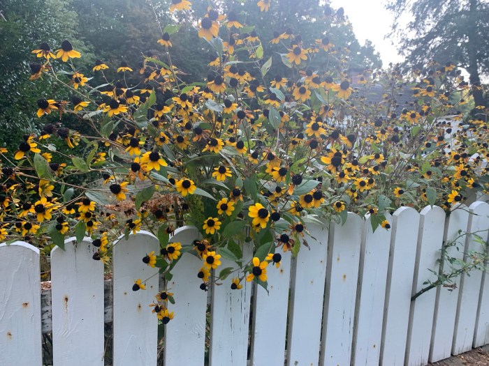 7ufTk4heTpmjz9mXuPmY1A