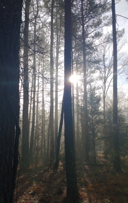 36341D61-1A76-436D-9E1F-7A3661075BDB