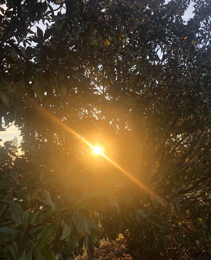 4E13209F-05CF-4591-98EE-B32B245264F4